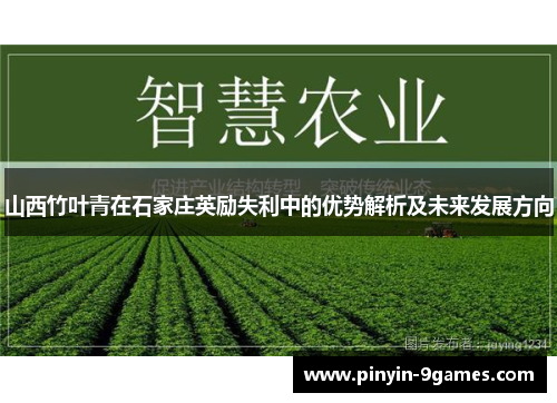 山西竹叶青在石家庄英励失利中的优势解析及未来发展方向