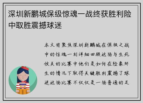 深圳新鹏城保级惊魂一战终获胜利险中取胜震撼球迷 深圳新鹏城保级惊魂一战终获胜利险中取胜震撼球迷
